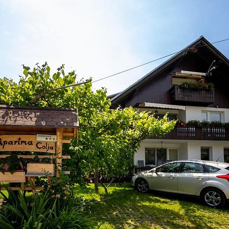 Apartmaji Colja Bohinj Luaran gambar